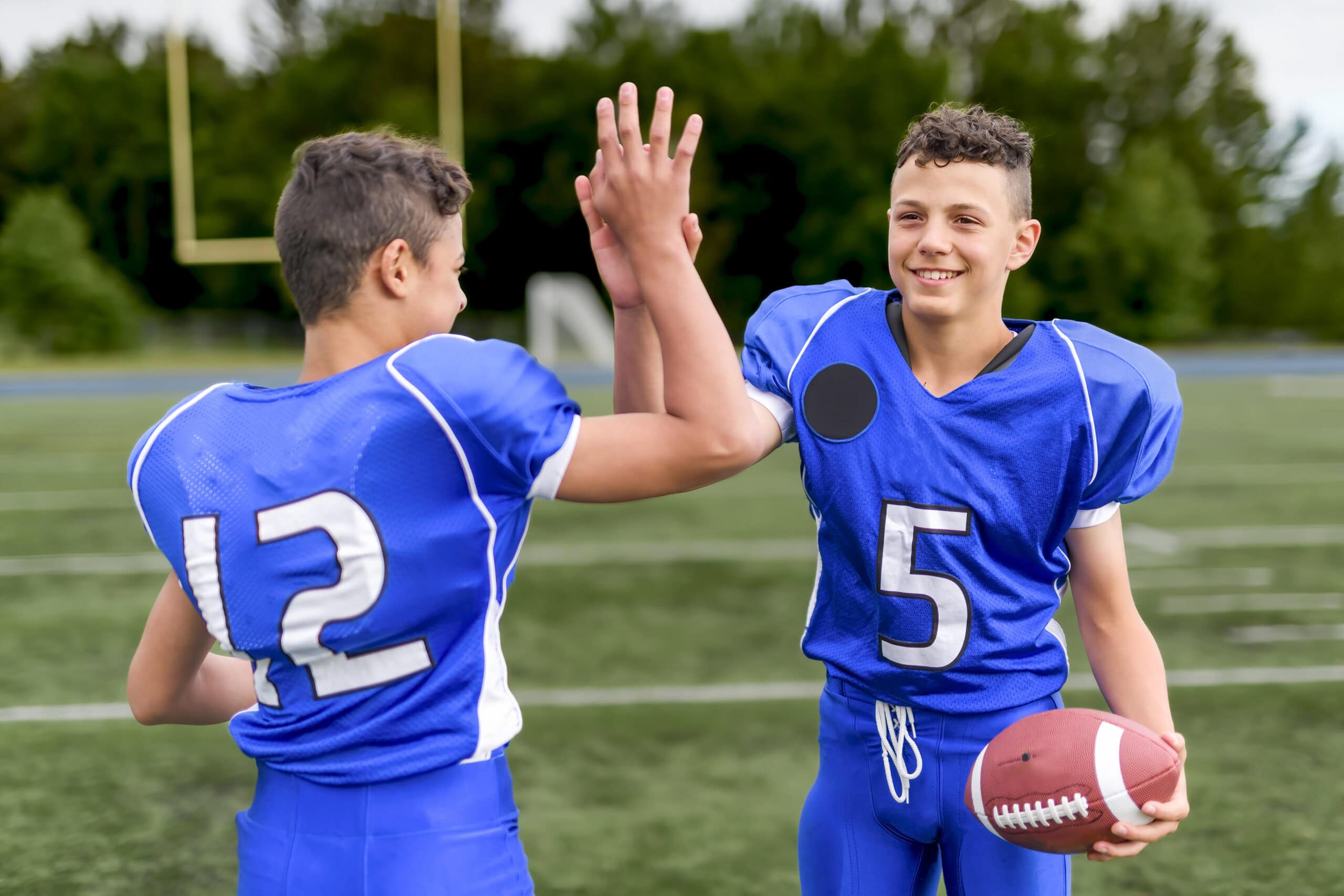 The Nice Portrait of two Americans Football Player together